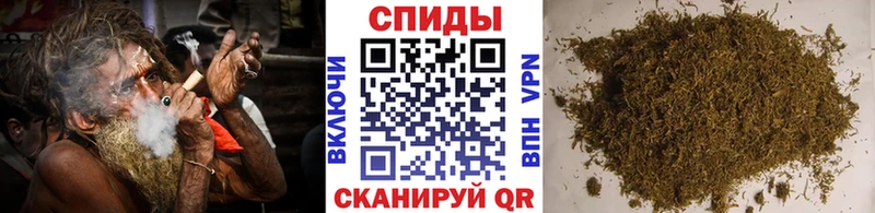 Купить где  Курлово  БУТИРАТ BDO 33% 