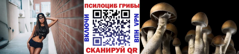 Купить где  Курлово  Галлюциногенные грибы мицелий 